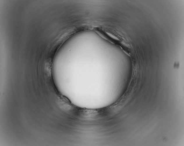 X0000090610719200708141351