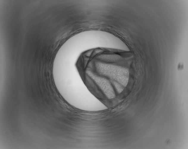 X0000090610720200708141351