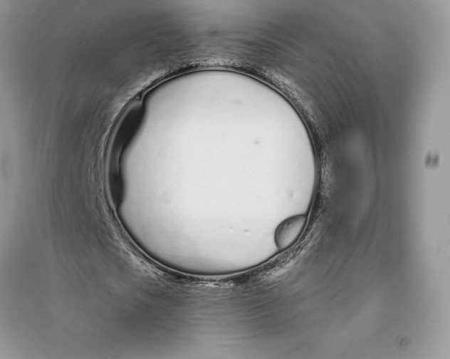 X0000090610721200708141350