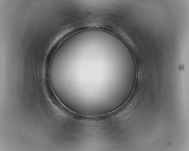 X0000090610722200708141350