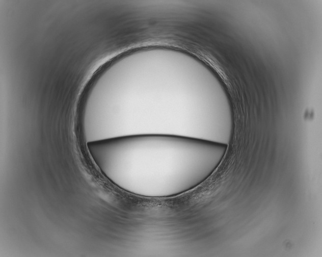 X0000090610724200708141350