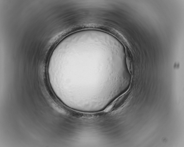 X0000090610725200708141350