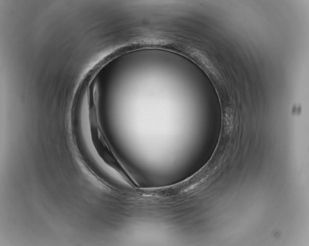 X0000090610726200708141350