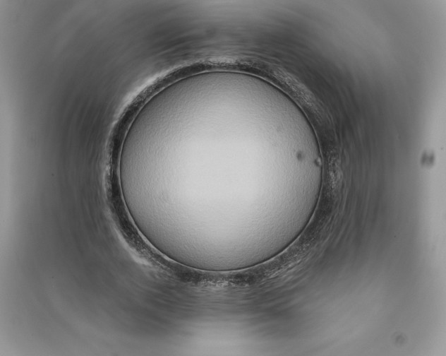 X0000090610728200708141350