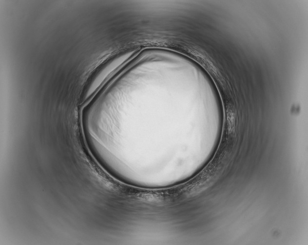 X0000090610729200708141350