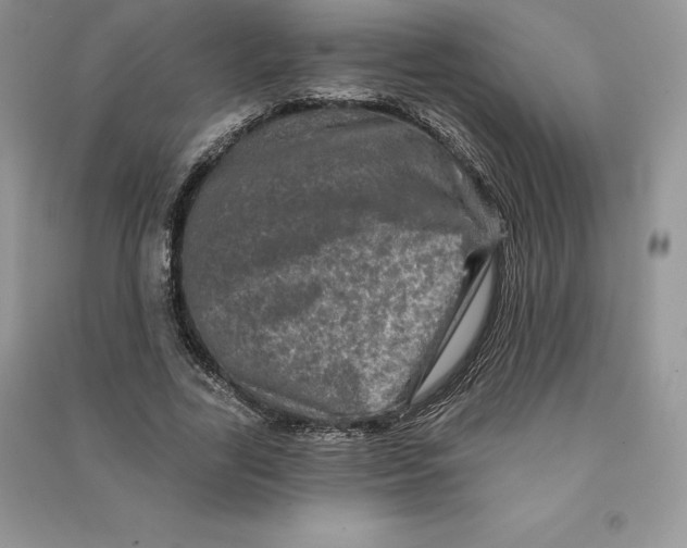 X0000090610731200708141350