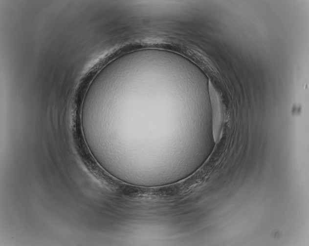 X0000090610732200708141350