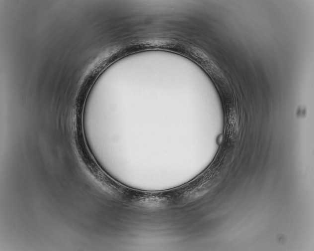 X0000090610734200708141350