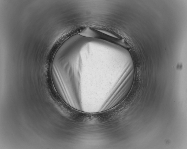 X0000090610735200708141351