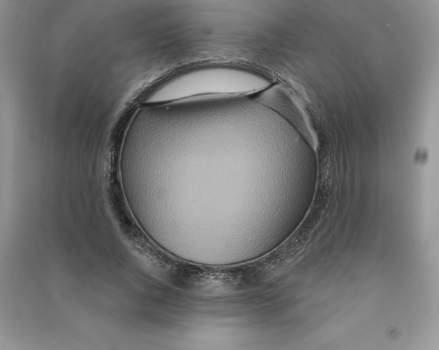 X0000090610736200708141351