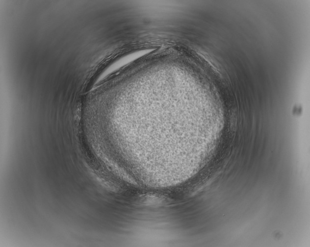 X0000090610737200708141351