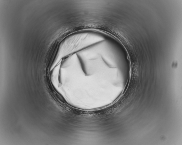 X0000090610738200708141351