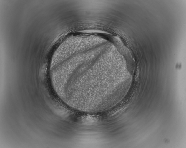 X0000090610739200708141351