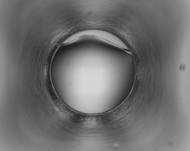 X0000090610740200708141351