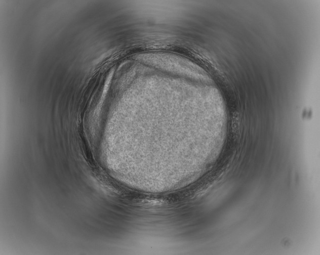 X0000090610741200708141351