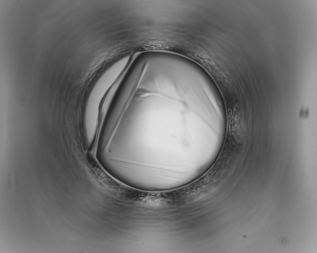 X0000090610742200708141351