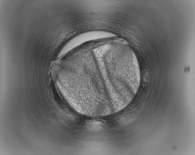 X0000090610743200708141351