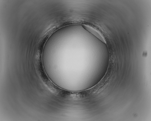 X0000090610744200708141351