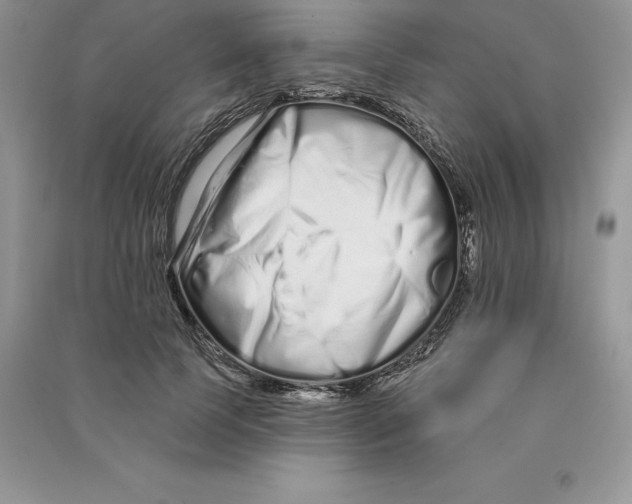 X0000090610745200708141351