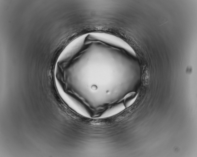 X0000090610746200708141351