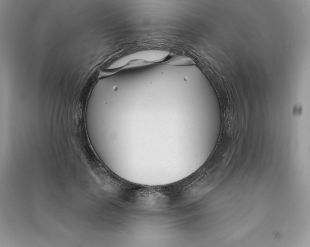 X0000090610747200708141351