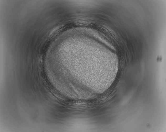 X0000090610749200708141351