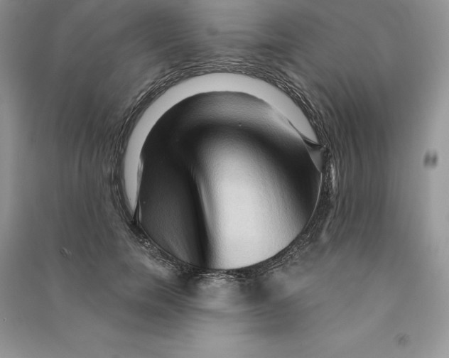 X0000090610750200708141351