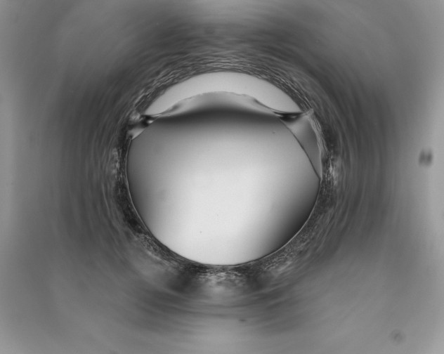 X0000090610752200708141351