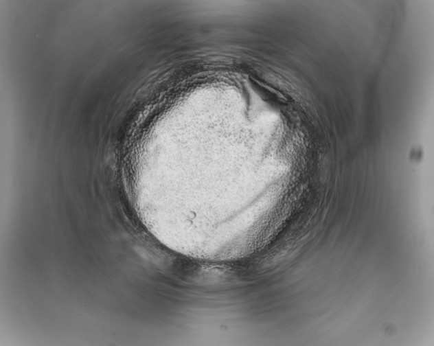 X0000090610753200708141351