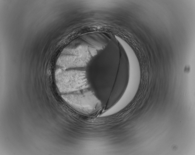 X0000090610754200708141351