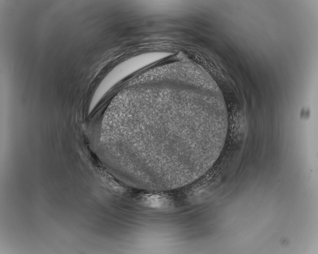 X0000090610755200708141351