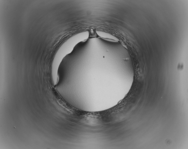 X0000090610756200708141351