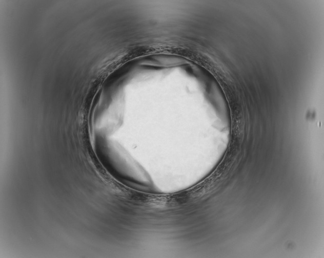 X0000090610757200708141351