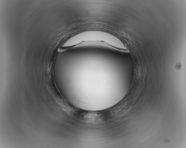 X0000090610759200708141351