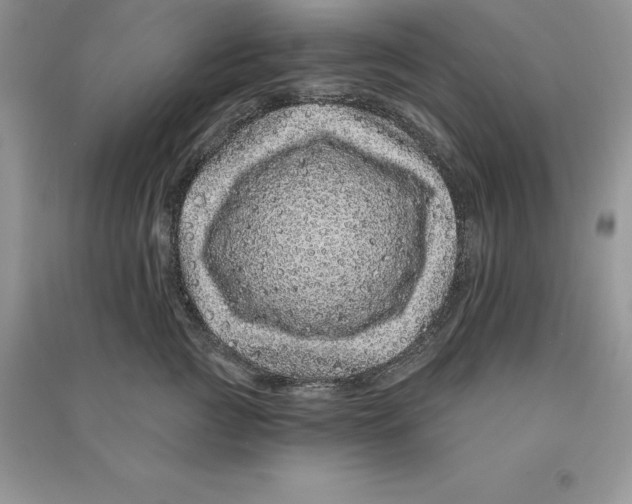 X0000090610761200708141351