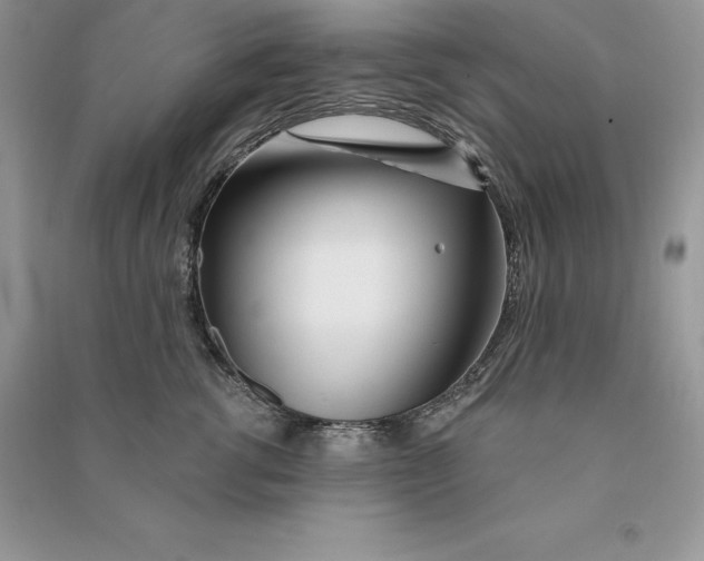 X0000090610762200708141351