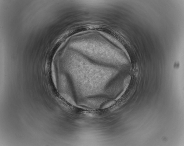 X0000090610763200708141351