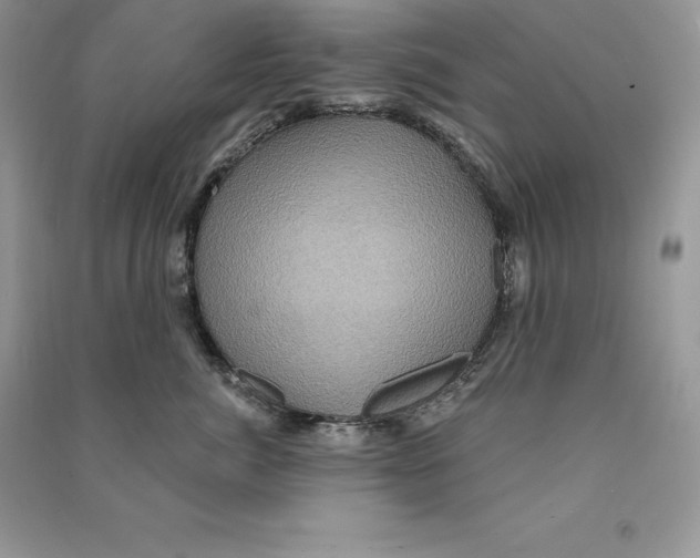 X0000090610764200708141351