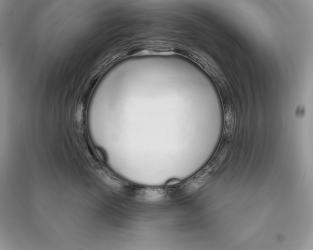 X0000090610765200708141351