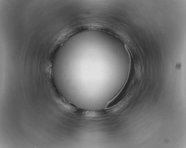 X0000090610766200708141351