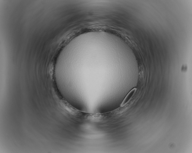 X0000090610767200708141351