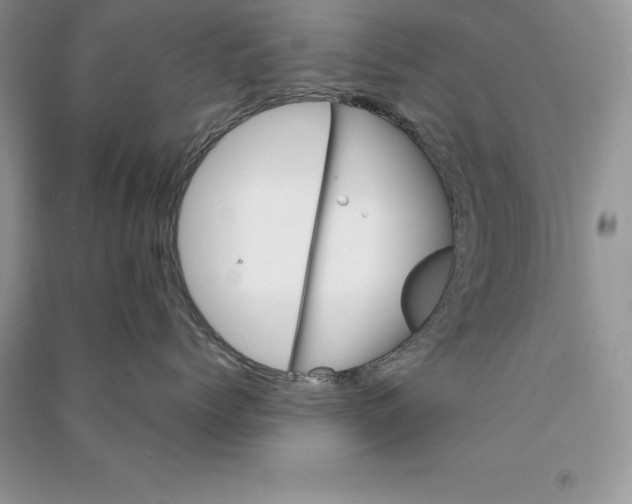 X0000090610768200708141351