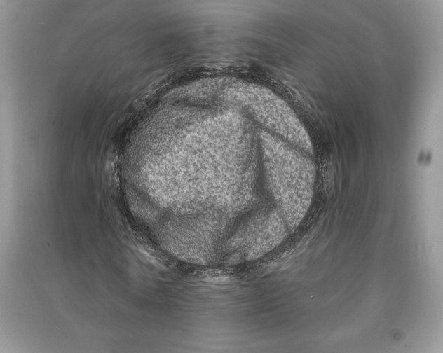 X0000090610770200708141350