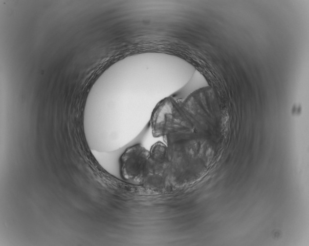 X0000090610772200708141350