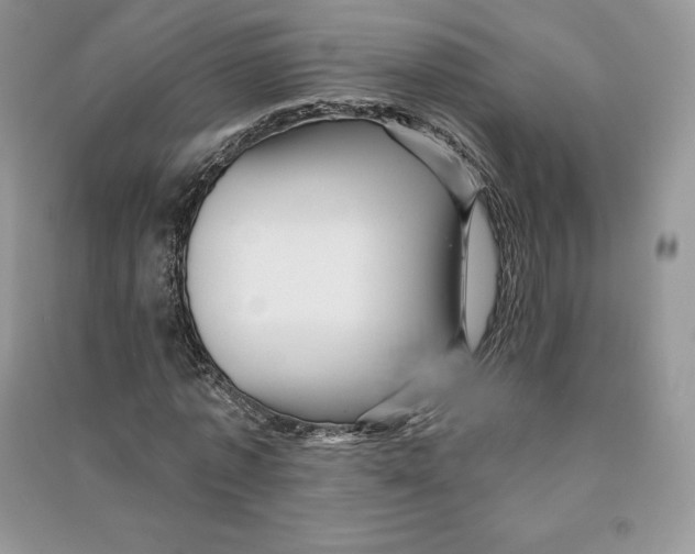 X0000090610773200708141350