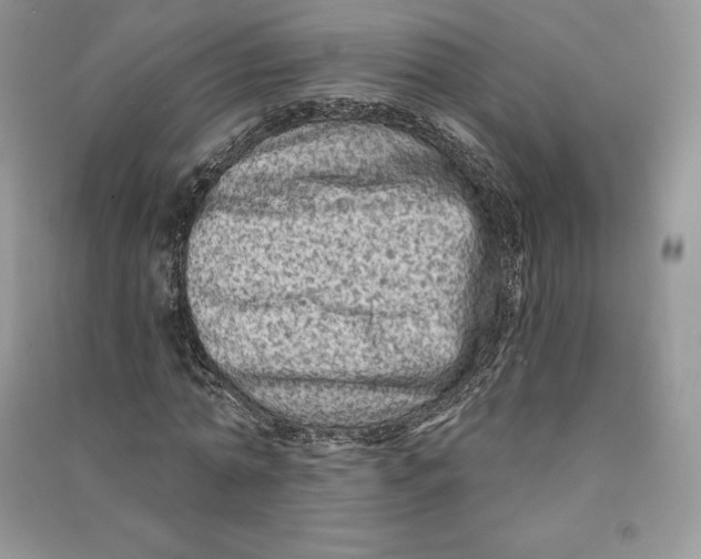 X0000090610774200708141350