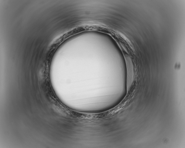 X0000090610775200708141350