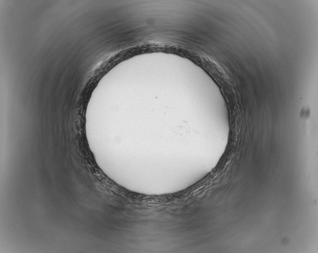 X0000090610776200708141350