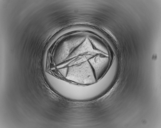 X0000090610777200708141350