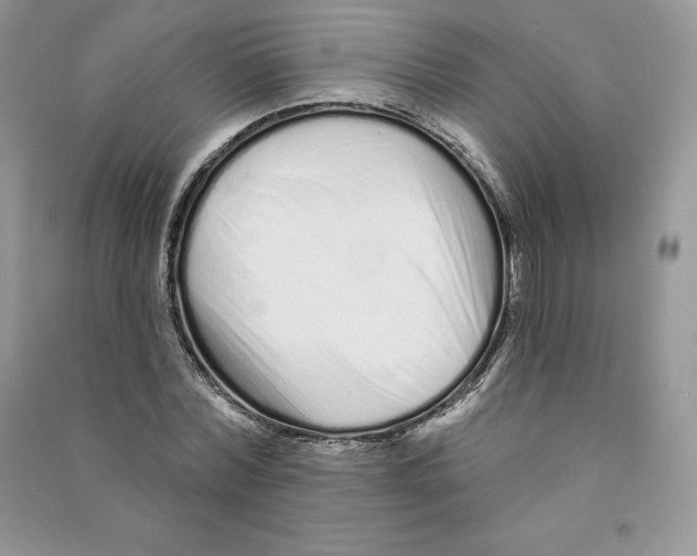 X0000090610780200708141350